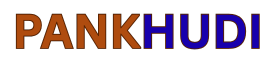Pankhudi Enterprises
